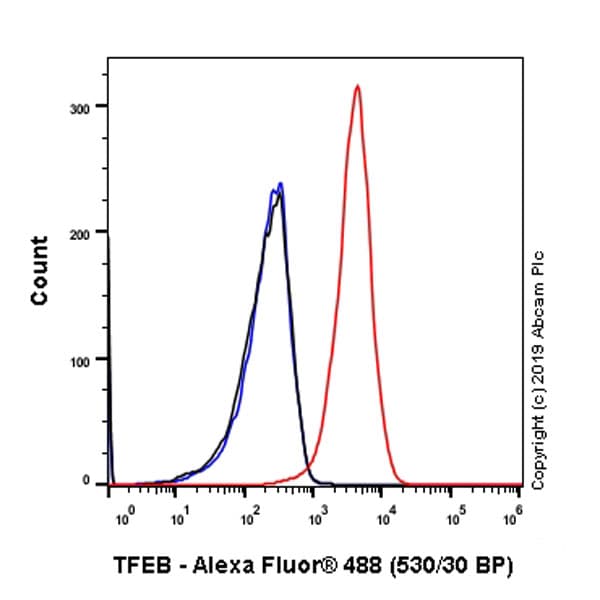 Anti-TFEB antibody [EPR22940-151](AB270604)