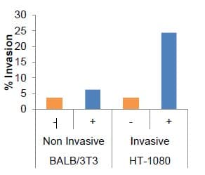 Cell Invasion Assay Kit (Collagen I), 24-well, 8 µm(AB235887)