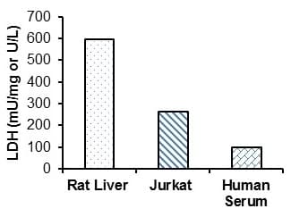 Lactate Dehydrogenase (LDH) Assay Kit (Fluorometric)(AB197000)