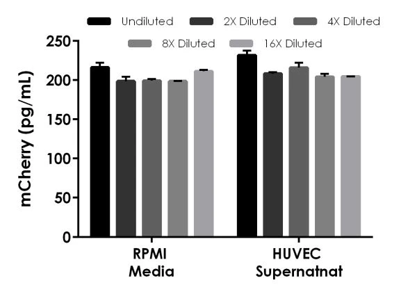Sandwich ELISA mCherry ELISA kit (ab221829) showing interpolated mCherry concentrations in cell culture supernatant samples.