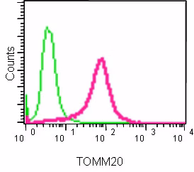 Intracellular Flow Cytometry analysis showing TOMM20 expression in paraformaldehyde-fixed HeLa cells (human cervical adenocarcinoma cell line), stained with ab186735 antibody at 1/90 dilution (red), compared to a rabbit IgG negative control (green)