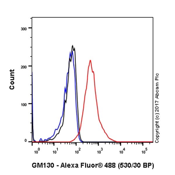 Anti-GM130 antibody [EP892Y] - cis-Golgi Marker(AB52649)