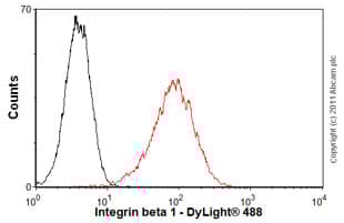 Anti-Integrin beta 1 antibody [12G10](AB30394)