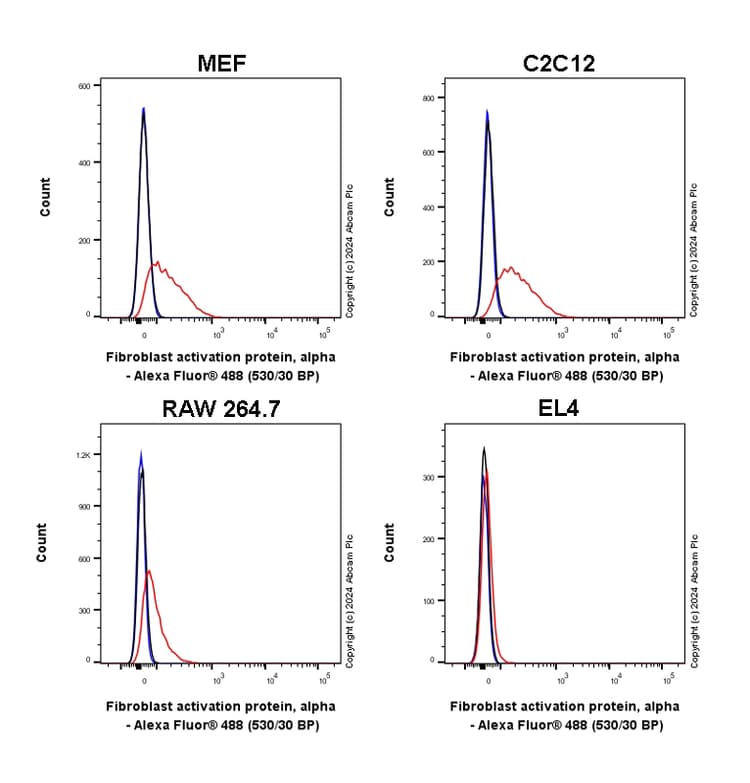 Anti-Fibroblast activation protein, alpha antibody [EPR27358-9](AB317555)