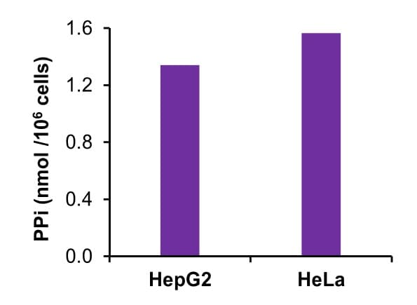 Pyrophosphate Assay Kit (Colorimetric / Fluorometric)(AB234040)