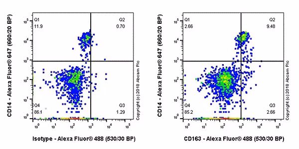 Flow cytometry analysis of human PBMC cells labeled with ab182422 and goat anti-rabbit IgG (Alexa Fluor® 488).