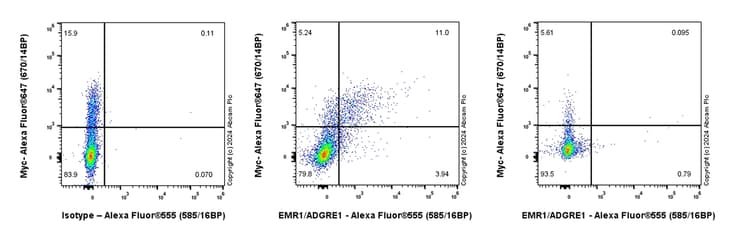 Alexa Fluor® 555 Anti-EMR1/ADGRE1 (F4/80) antibody [EPR23225-94](AB316877)