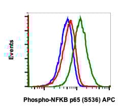 APC Anti-NF-kB p65 (phospho S536) antibody [NFKBp65S536-B7](AB278778)