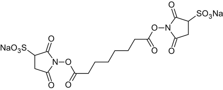 BS3 crosslinker, primary amine reactive crosslinker(AB145612)