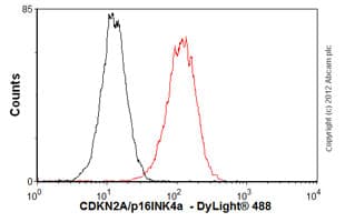 Anti-CDKN2A/p16INK4a antibody [EPR1473] - BSA and Azide free(AB186932)