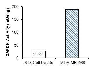 Glyceraldehyde 3 Phosphate Dehydrogenase Activity Assay Kit (Colorimetric)(AB204732)