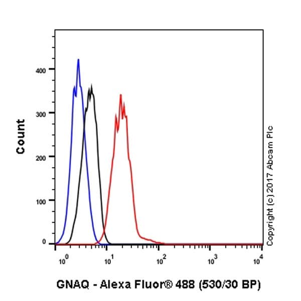 Anti-GNAQ antibody [EPR20978](AB210004)
