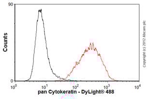 Anti-pan Cytokeratin antibody [AE1/AE3 + 5D3](AB86734)