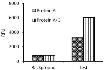 Immunoprecipitation kit(AB206996)