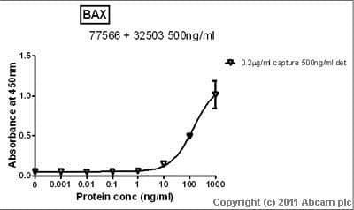 Anti-Bax antibody [E63](AB32503)