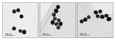 Electron Microscopy - 40nm Gold Nanoparticles (10 OD) (ab269930)