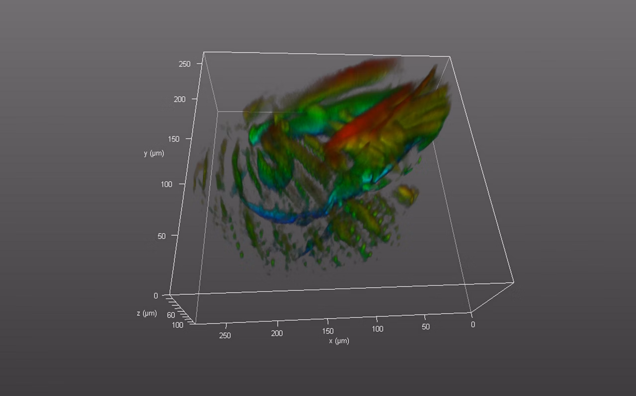 3D Vizualisation 91 Kid21754308