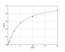 Human Estrogen Receptor beta ELISA Kit(AB285292)