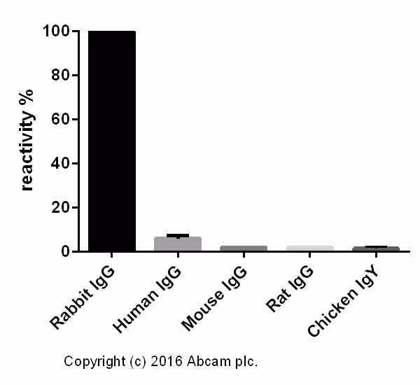 ELISA - Goat Anti-Rabbit IgG H&L (HRP) (ab205718)