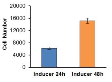 Cell Migration/Chemotaxis Assay Kit (24-well, 5 µm)(AB235696)