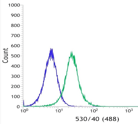 Cd16 Antibody Sp175 Ab183354  Flow Cytometry Intracellular Img47428