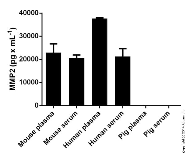 Mouse MMP2 ELISA Kit(AB100730)