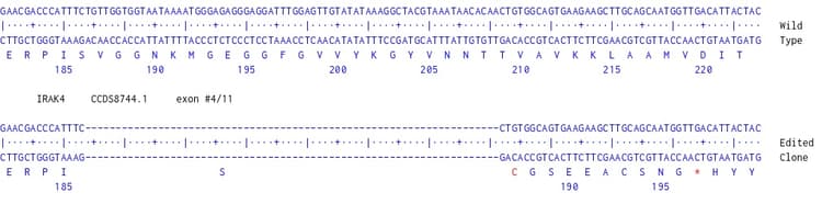 Human Irak4 Knockout Mcf7 Cell Line Ab287556  Next Generation Sequencing Img433984