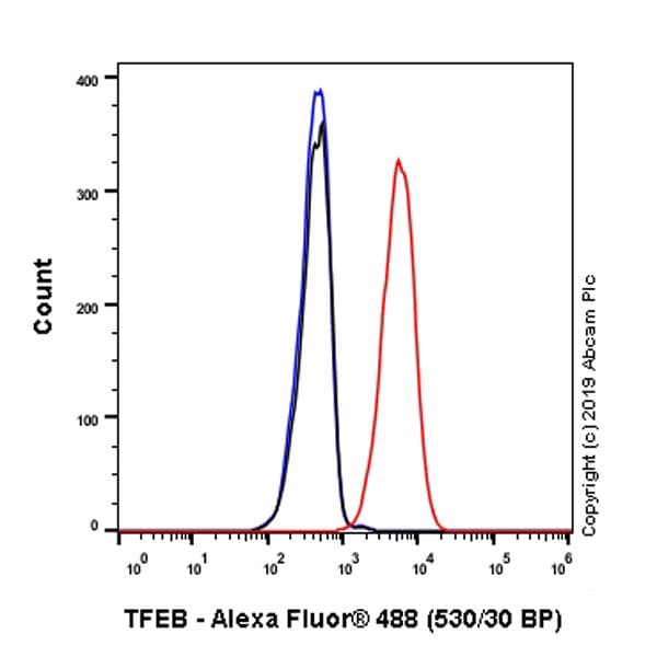 Anti-TFEB antibody [EPR22940-151](AB270604)