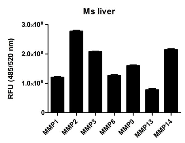 MMP Activity Assay Kit (Fluorometric - Green)(AB112146)
