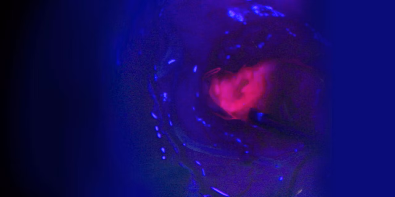 Fl400 Fluorescence Module S Kid21764363