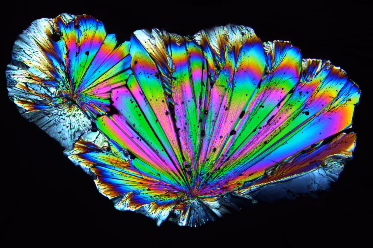 Leica DM4 P Radially Grown Sugar Crystals Imaged With Circular Polarized Light Kid21765770