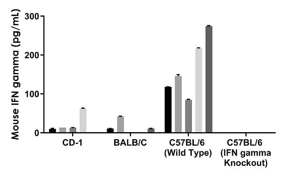 Mouse IFN gamma ELISA Kit(ab282874)