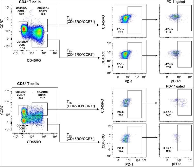 PE/Cy5® Conjugation Kit - Lightning-Link®(AB102893)