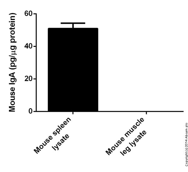 Mouse IgA ELISA Kit(AB157717)