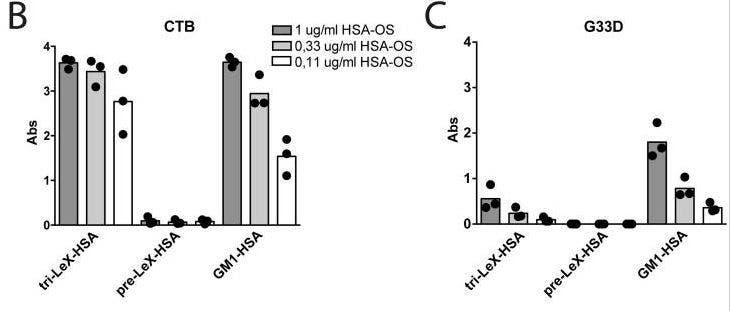 HRP conjugation kit - Lightning-Link® (ab102890) used in examining Cholera Toxin subunit B binding to blood group antigen LewisX (LeX)