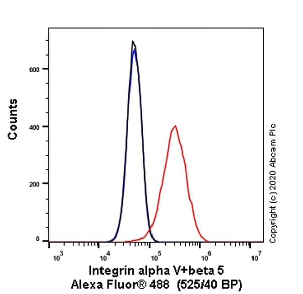 Anti-Integrin alpha V+beta 5 antibody [P1F6](AB177004)