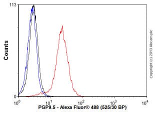 Anti-PGP9.5 antibody [31A3](AB20559)