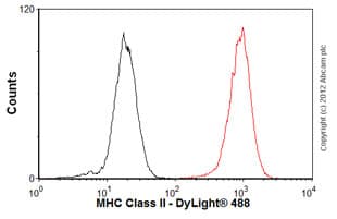 Anti-MHC Class II antibody [6C6](AB55152)