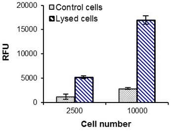 LDH-Cytotoxicity Assay Kit (Fluorometric)(AB197004)