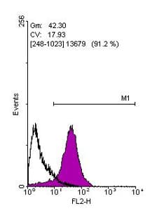Anti-SOX2 antibody(AB137385)