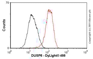 Anti-DUSP6 antibody [EPR129Y](AB76310)