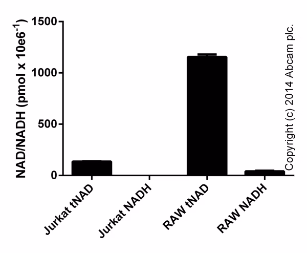 Colorimetric NAD/NADH assay kit (ab65348) measuring NAD, NADH, and tNAD in cell lysates for functional studies