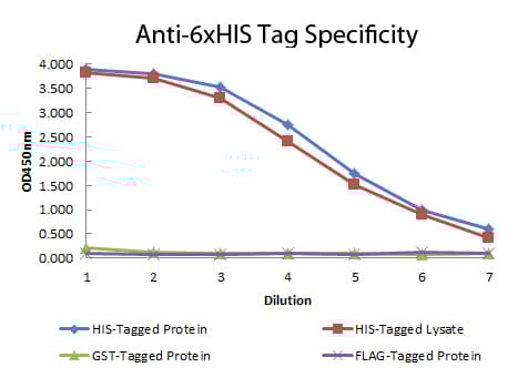 Biotin Anti-6X His tag® antibody [33D10.D2](AB106261)