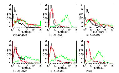 Ceacam1 Ceacam5 Antibody 4 3 17 Ab91213  Flow Cytometry Img76382