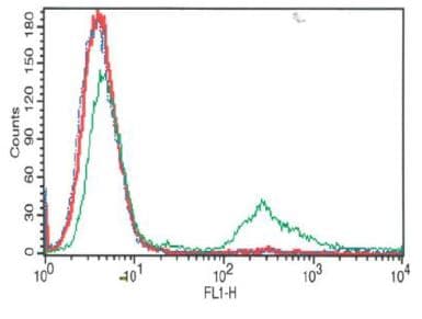 Phagocytosis Assay Kit (Green Zymosan)(AB234053)