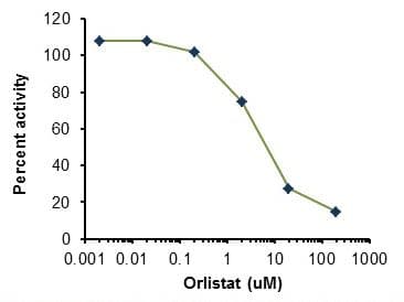 Lipoprotein Lipase Assay Kit (Fluorometric)(AB204721)