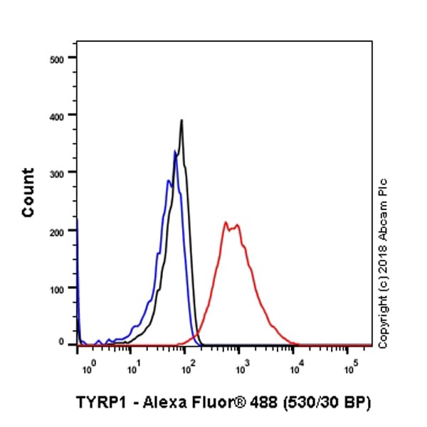 Anti-TRP1 antibody [EPR21960](AB235447)