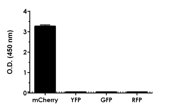 Sandwich ELISA - mCherry ELISA kit (ab221829) with raw O.D. values for mCherry, YFP, GFP, and RFP proteins.