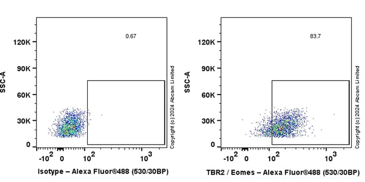 Anti-TBR2 / Eomes antibody [RM2055](AB319166)