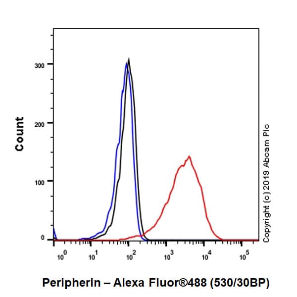 Anti-Peripherin antibody [EPR23445-28] - BSA and Azide free(AB269861)